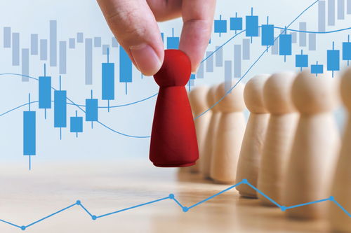 市場出清與巨頭入場 小貸行業在洗牌中重塑信息咨詢服務