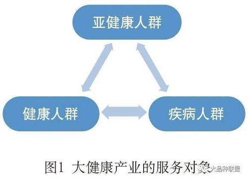 健康咨詢服務(wù) 我國大健康產(chǎn)業(yè)的關(guān)鍵環(huán)節(jié)與發(fā)展路徑